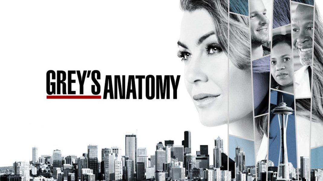 Grey's Anatomy by Les Ecrans Terribles