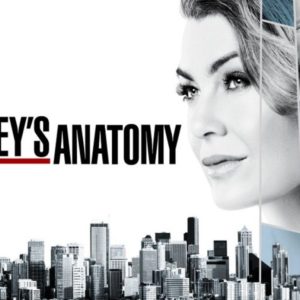Grey's Anatomy by Les Ecrans Terribles
