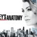 Grey's Anatomy by Les Ecrans Terribles